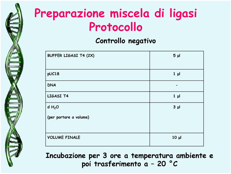 H 2 O 3 µl (per portare a volume) VOLUME FINALE 10 µl