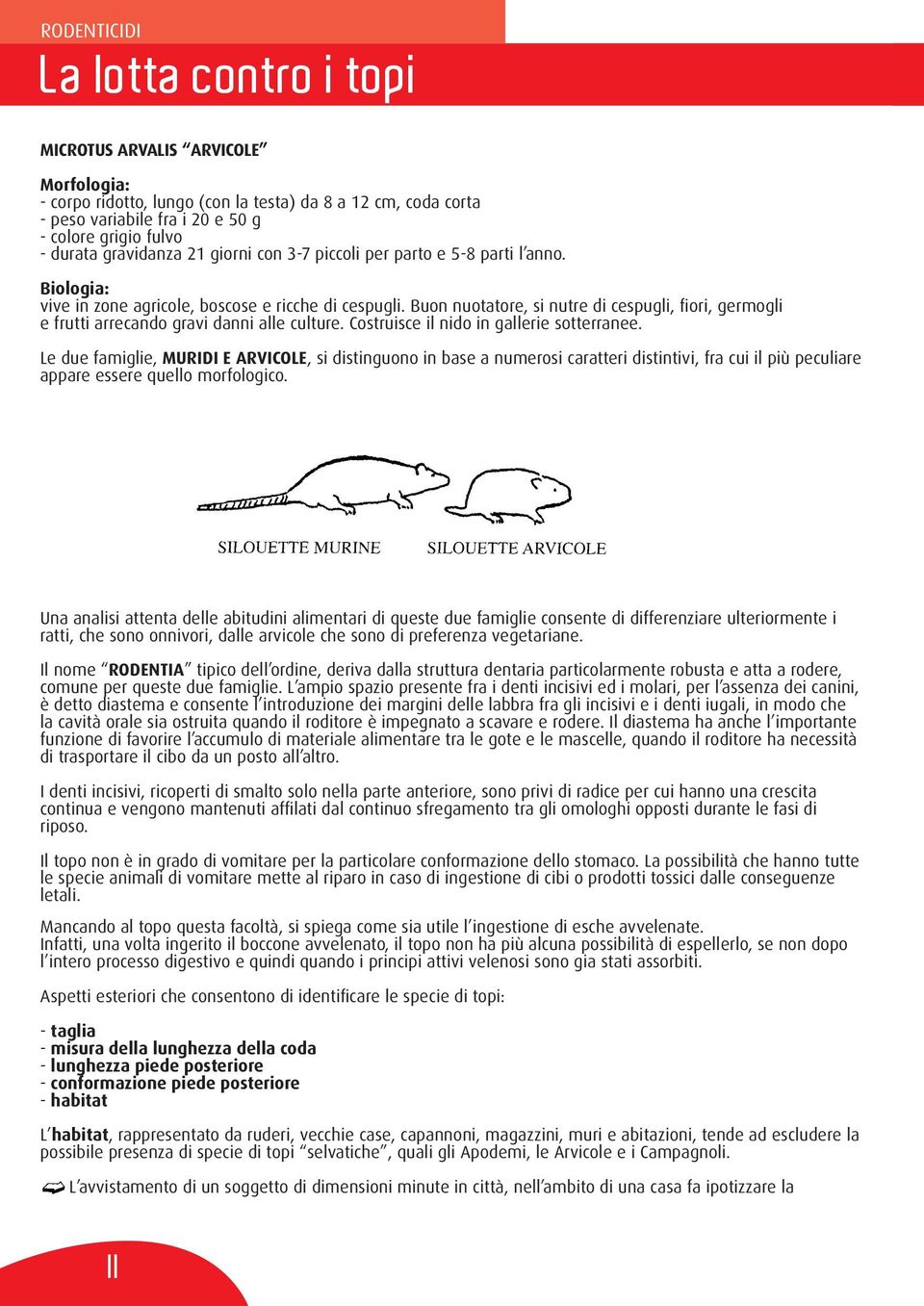 Costruisce il nido in gallerie sotterranee. Le due famiglie, MURIDI E ARVICOLE, si distinguono in base a numerosi caratteri distintivi, fra cui il più peculiare appare essere quello morfologico.