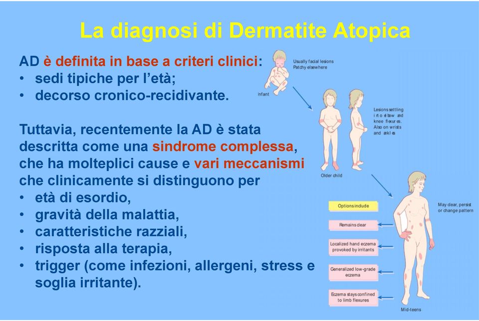 Tuttavia, recentemente la AD è stata descritta come una sindrome complessa, che ha molteplici cause e vari