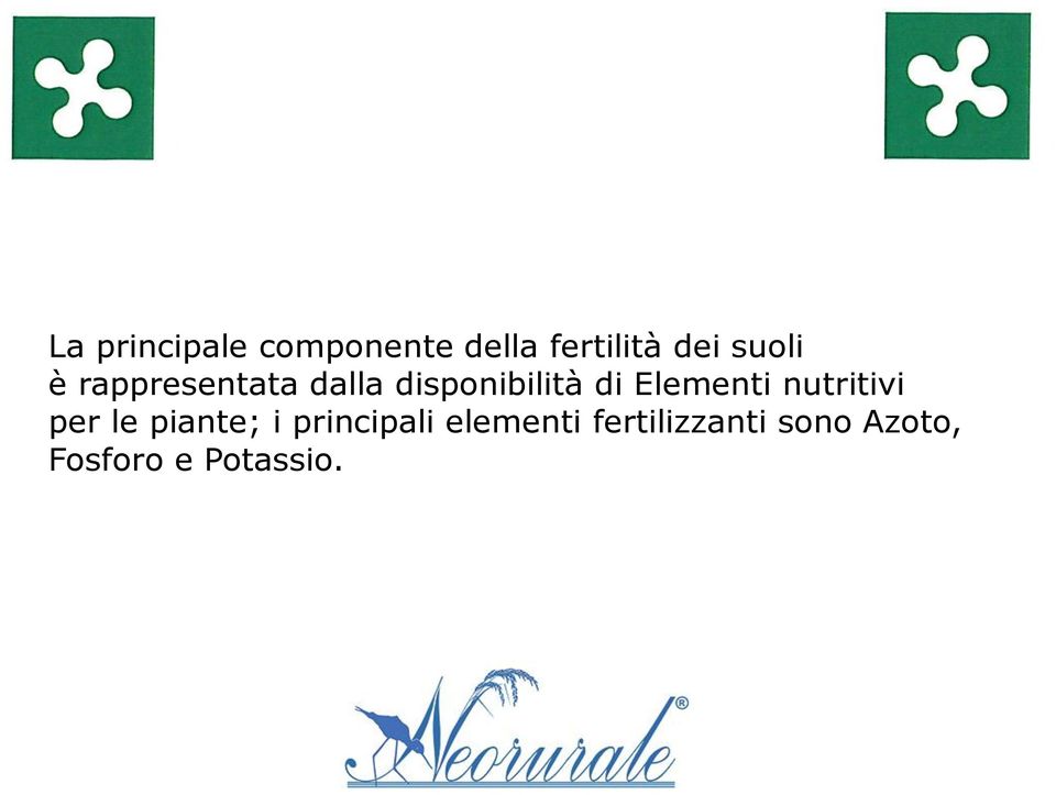 Elementi nutritivi per le piante; i principali