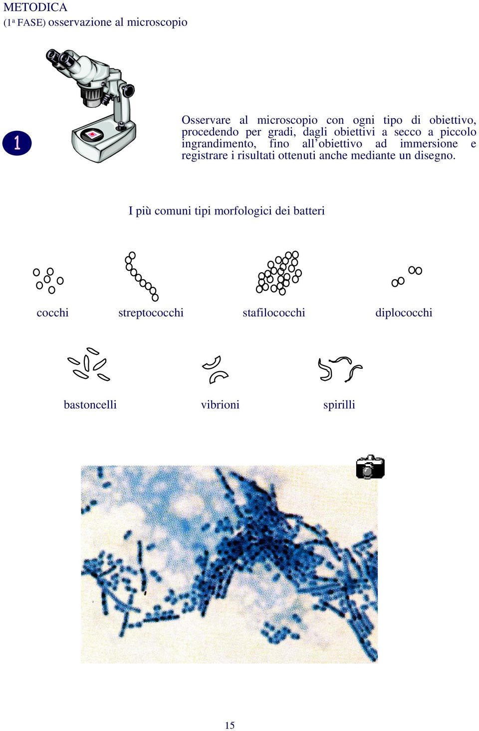 obiettivo ad immersione e registrare i risultati ottenuti anche mediante un disegno.