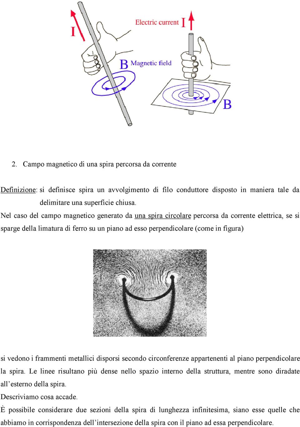 frammenti metallici disporsi secondo circonferenze appartenenti al piano perpendicolare la spira.