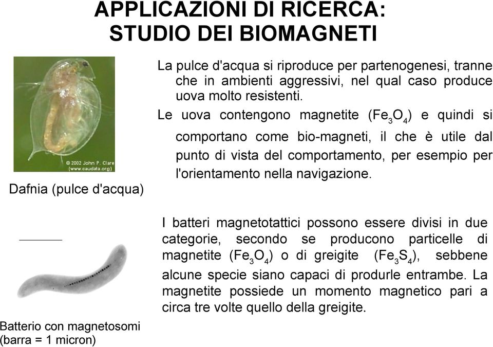 navigazione.