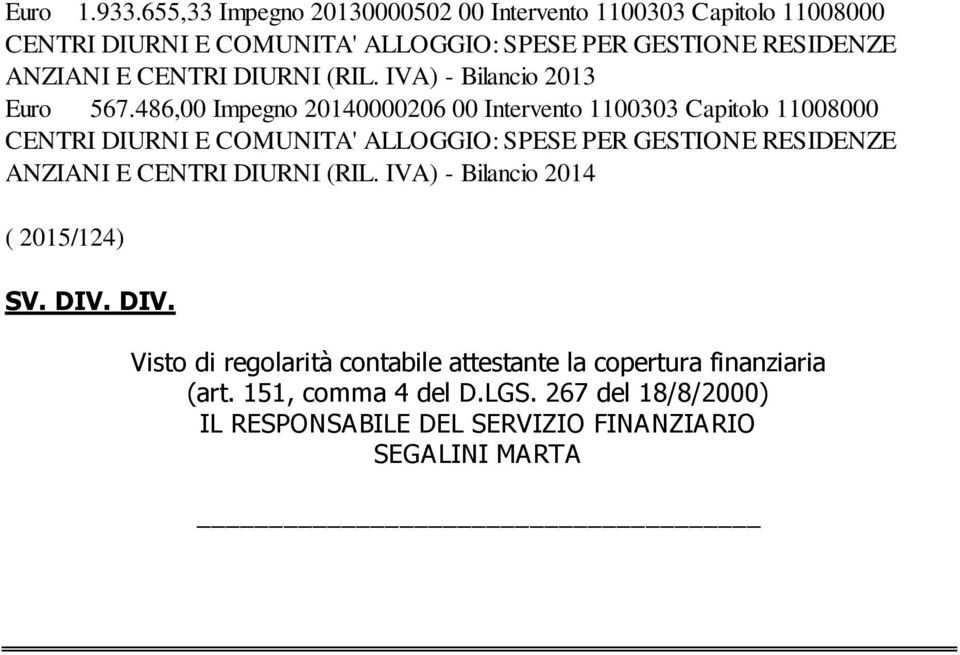 CENTRI DIURNI (RIL. IVA) - Bilancio 2013 Euro 567.