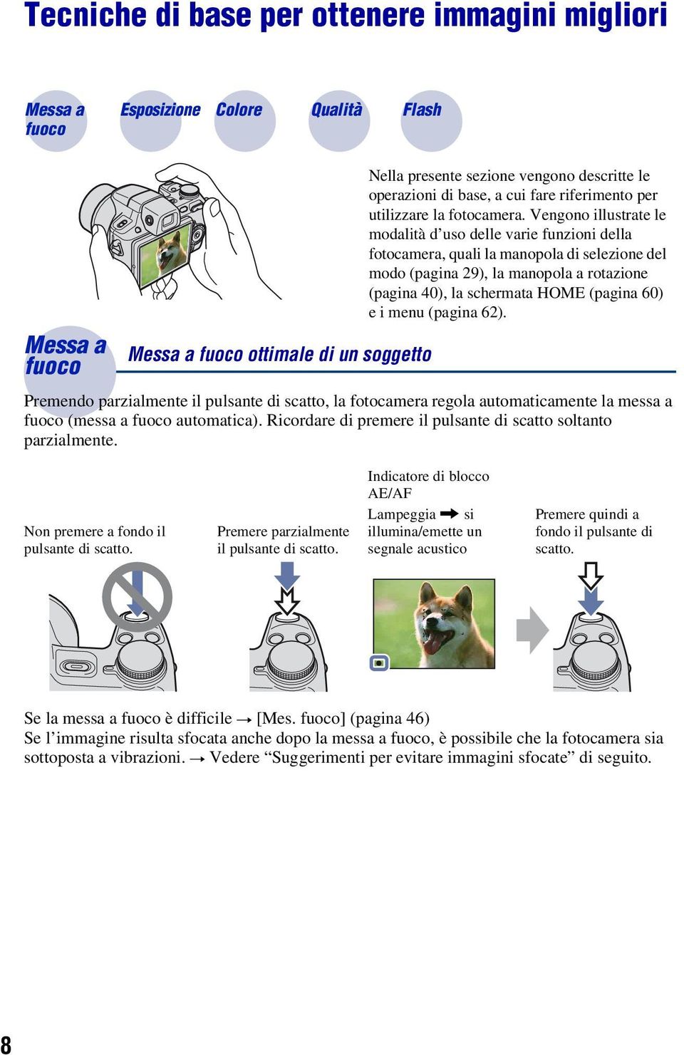 Vengono illustrate le modalità d uso delle varie funzioni della fotocamera, quali la manopola di selezione del modo (pagina 29), la manopola a rotazione (pagina 40), la schermata HOME (pagina 60) e i