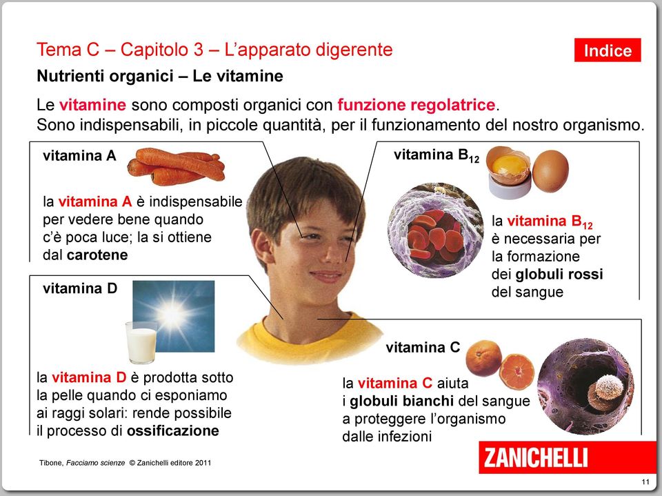 vitamina A vitamina B 12 la vitamina A è indispensabile per vedere bene quando c è poca luce; la si ottiene dal carotene vitamina D la vitamina B 12 è