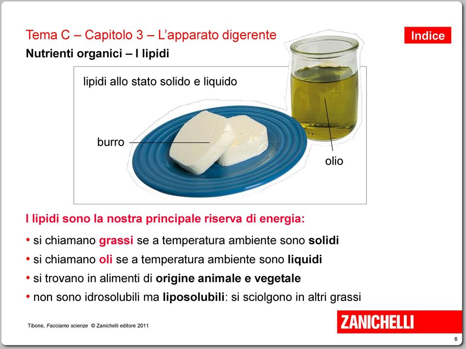 solidi si chiamano oli se a temperatura ambiente sono liquidi si trovano in alimenti di