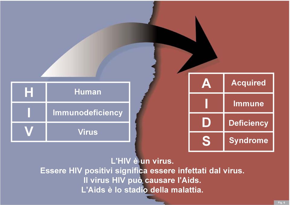 Essere HIV positivi significa essere infettati dal virus.
