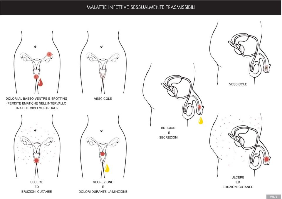 CICLI MESTRUALI) VESCICOLE BRUCIORI E SECREZIONI ULCERE ED ERUZIONI