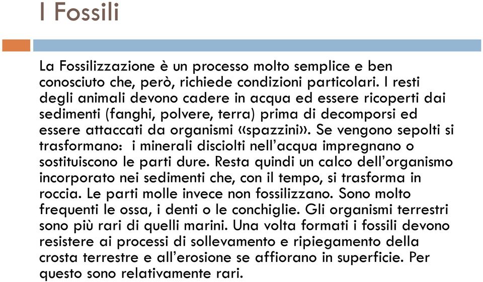 Se vengono sepolti si trasformano: i minerali disciolti nell acqua impregnano o sostituiscono le parti dure.