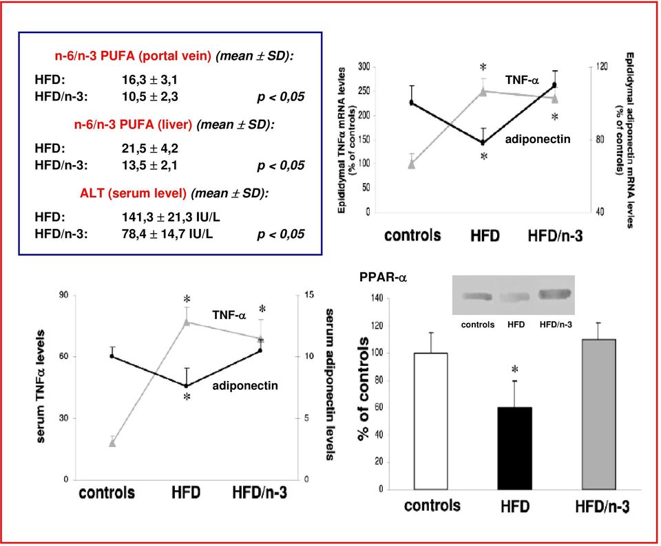 (serum level) (mean ± SD): HFD: 141,3 ± 21,3 IU/L HFD/n-3: 78,4 ± 14,7 IU/L p < 0,05 PPAR-α