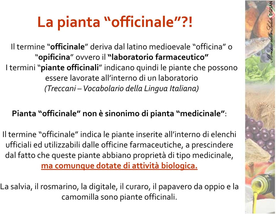 essere lavorate all interno di un laboratorio (Treccani Vocabolario della Lingua Italiana) Pianta officinale non è sinonimo di pianta medicinale : Il termine officinale