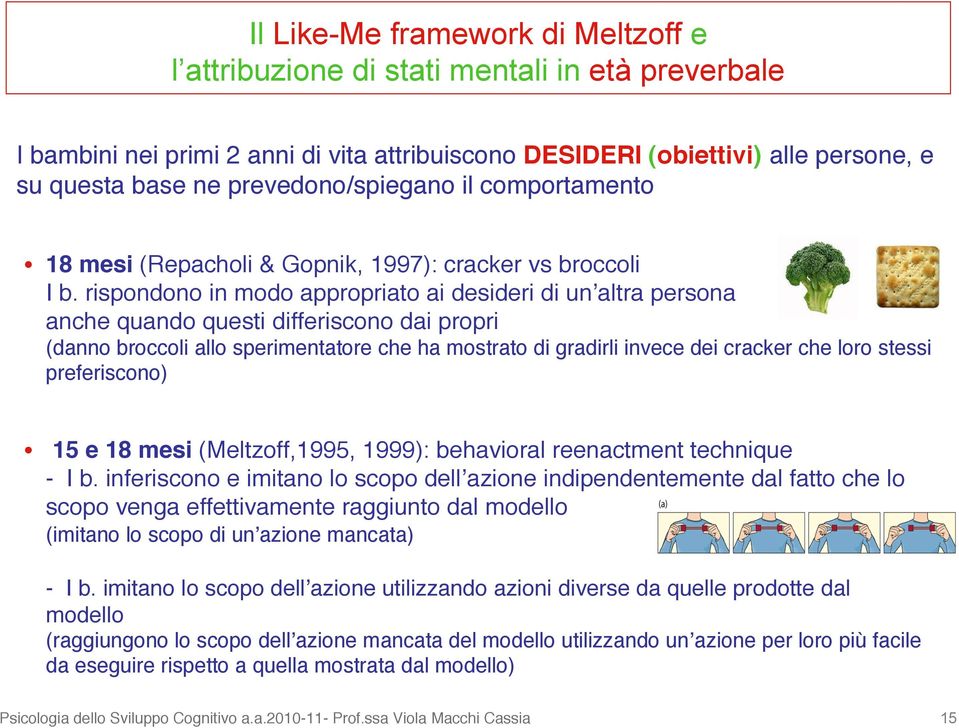 rispondono in modo appropriato ai desideri di unʼaltra persona anche quando questi differiscono dai propri (danno broccoli allo sperimentatore che ha mostrato di gradirli invece dei cracker che loro