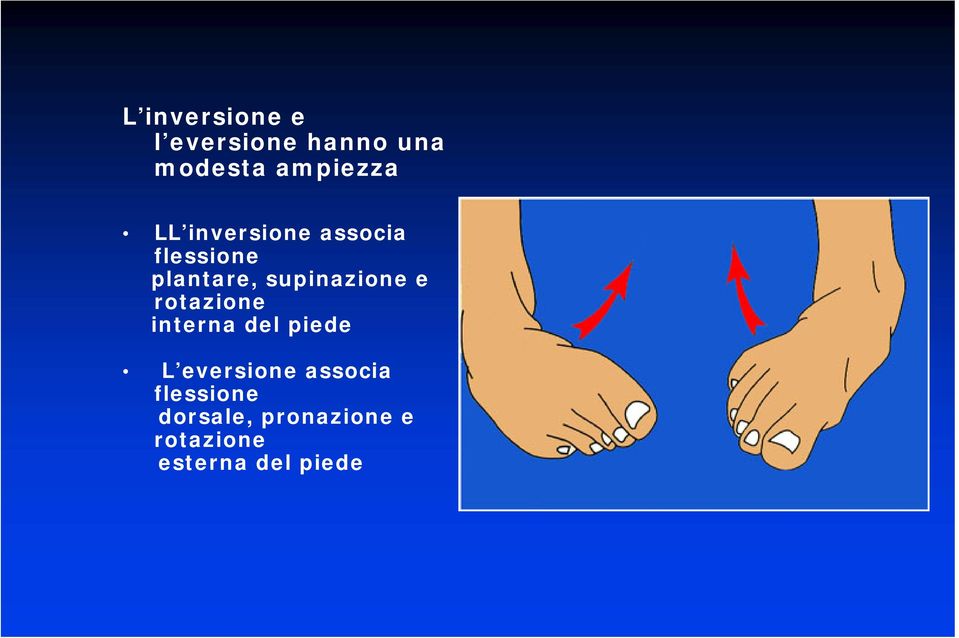 e rotazione interna del piede L eversione associa