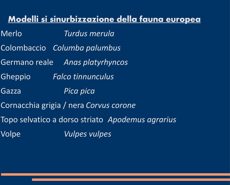 Falco tinnunculus Gazza Pica pica Cornacchia grigia / nera Corvus