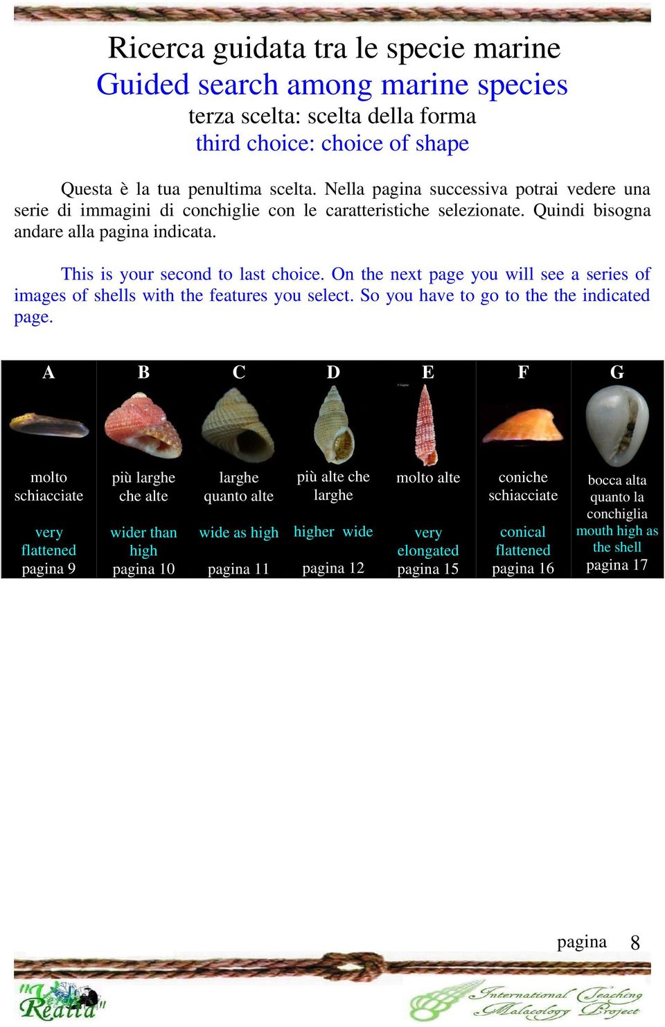 On the next page you will see a series of images of shells with the features you select. So you have to go to the the indicated page.
