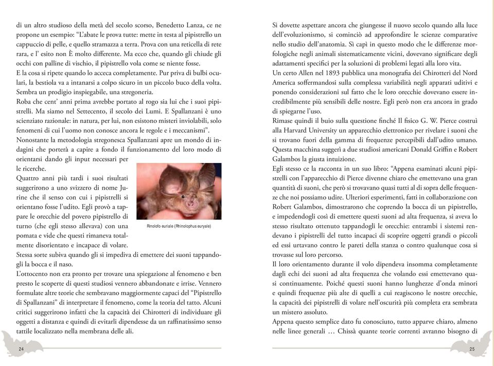 E la cosa si ripete quando lo acceca completamente. Pur priva di bulbi oculari, la bestiola va a intanarsi a colpo sicuro in un piccolo buco della volta.