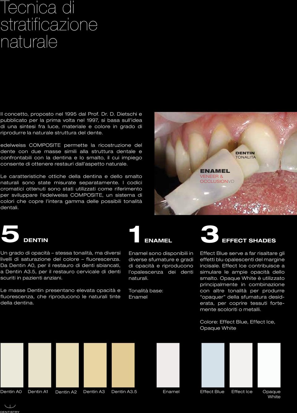 edelweiss COMPOSITE permette la ricostruzione del dente con due masse simili alla struttura dentale e confrontabili con la dentina e lo smalto, il cui impiego consente di ottenere restauri dall