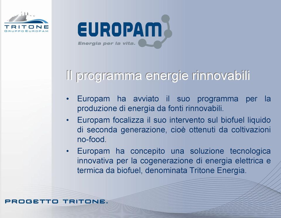 Europam focalizza il suo intervento sul biofuel liquido di seconda generazione, cioè ottenuti da