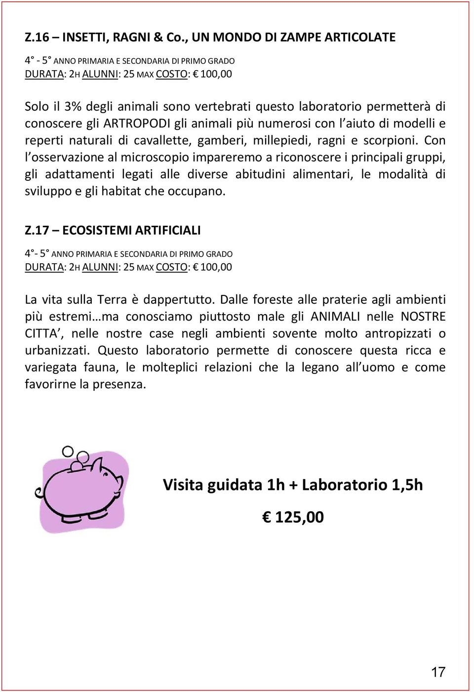 conoscere gli ARTROPODI gli animali più numerosi con l aiuto di modelli e reperti naturali di cavallette, gamberi, millepiedi, ragni e scorpioni.