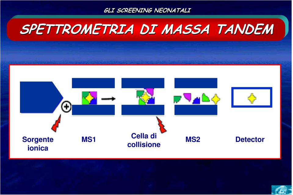 Sorgente ionica MS1