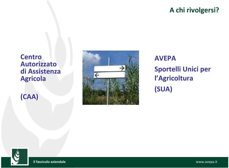 Assistenza Agricola (CAA)