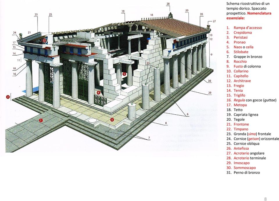 Triglifo 16. Regula con gocce (guttae) 17. Metopa 18. Tetto 19. Capriata lignea 20. Tegole 21. Frontone 22. Timpano 23. Gronda (sima) frontale 24.