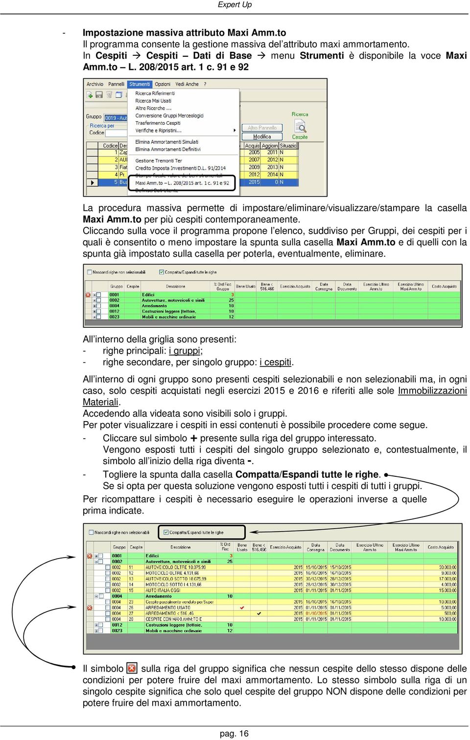 Cliccando sulla voce il programma propone l elenco, suddiviso per Gruppi, dei cespiti per i quali è consentito o meno impostare la spunta sulla casella Maxi Amm.