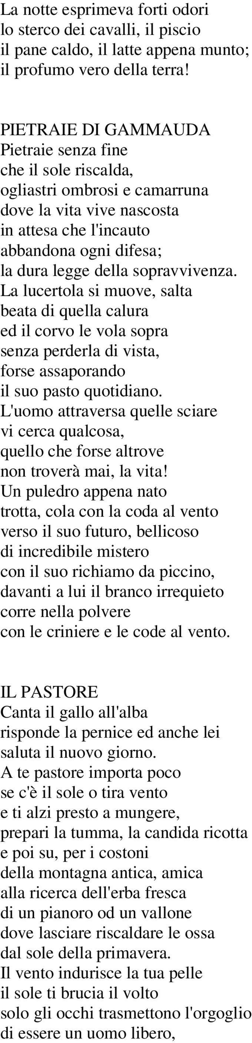 sopravvivenza. La lucertola si muove, salta beata di quella calura ed il corvo le vola sopra senza perderla di vista, forse assaporando il suo pasto quotidiano.