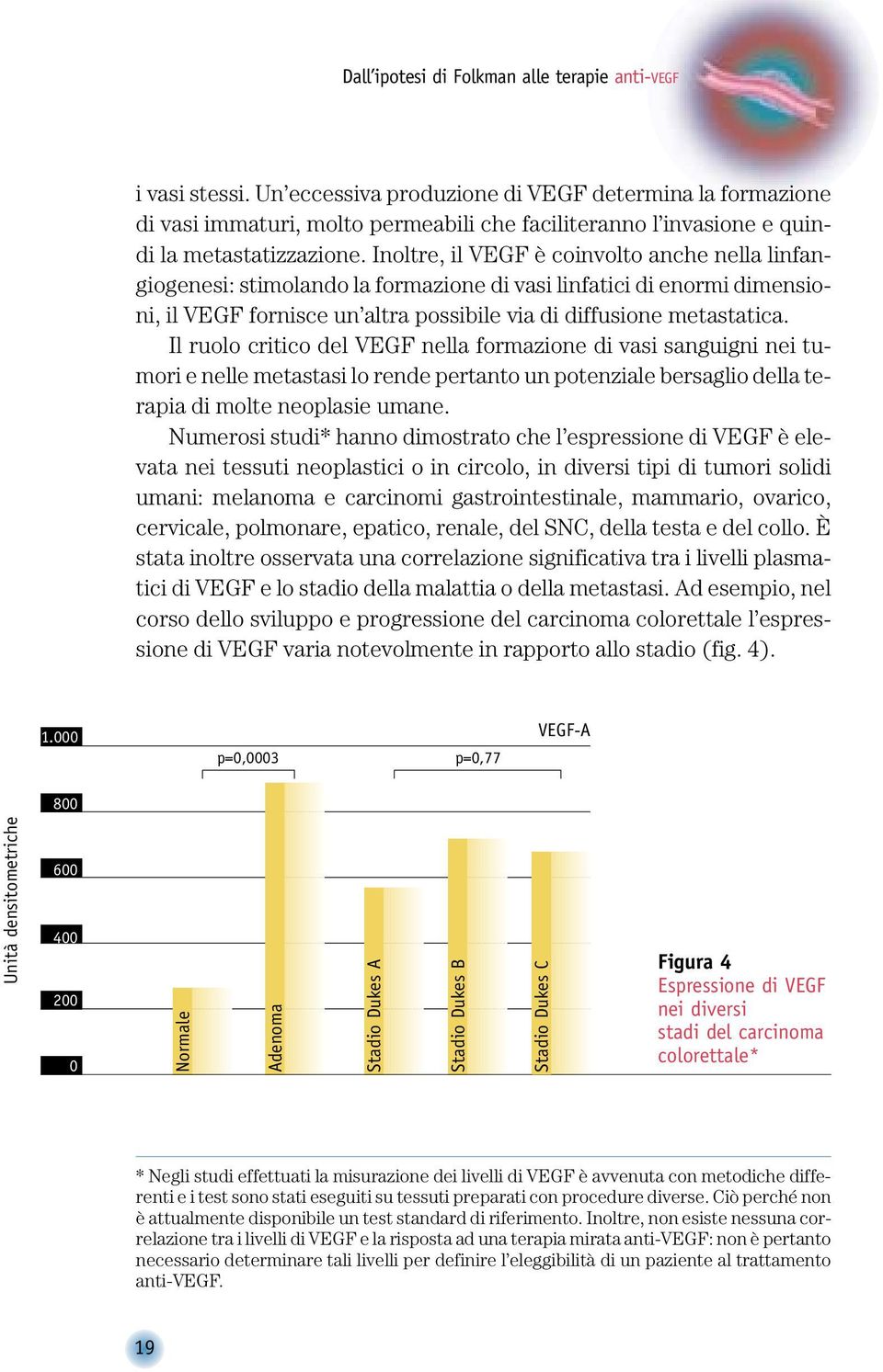 Inoltre, il VEGF è coinvolto anche nella linfangiogenesi: stimolando la formazione di vasi linfatici di enormi dimensioni, il VEGF fornisce un altra possibile via di diffusione metastatica.