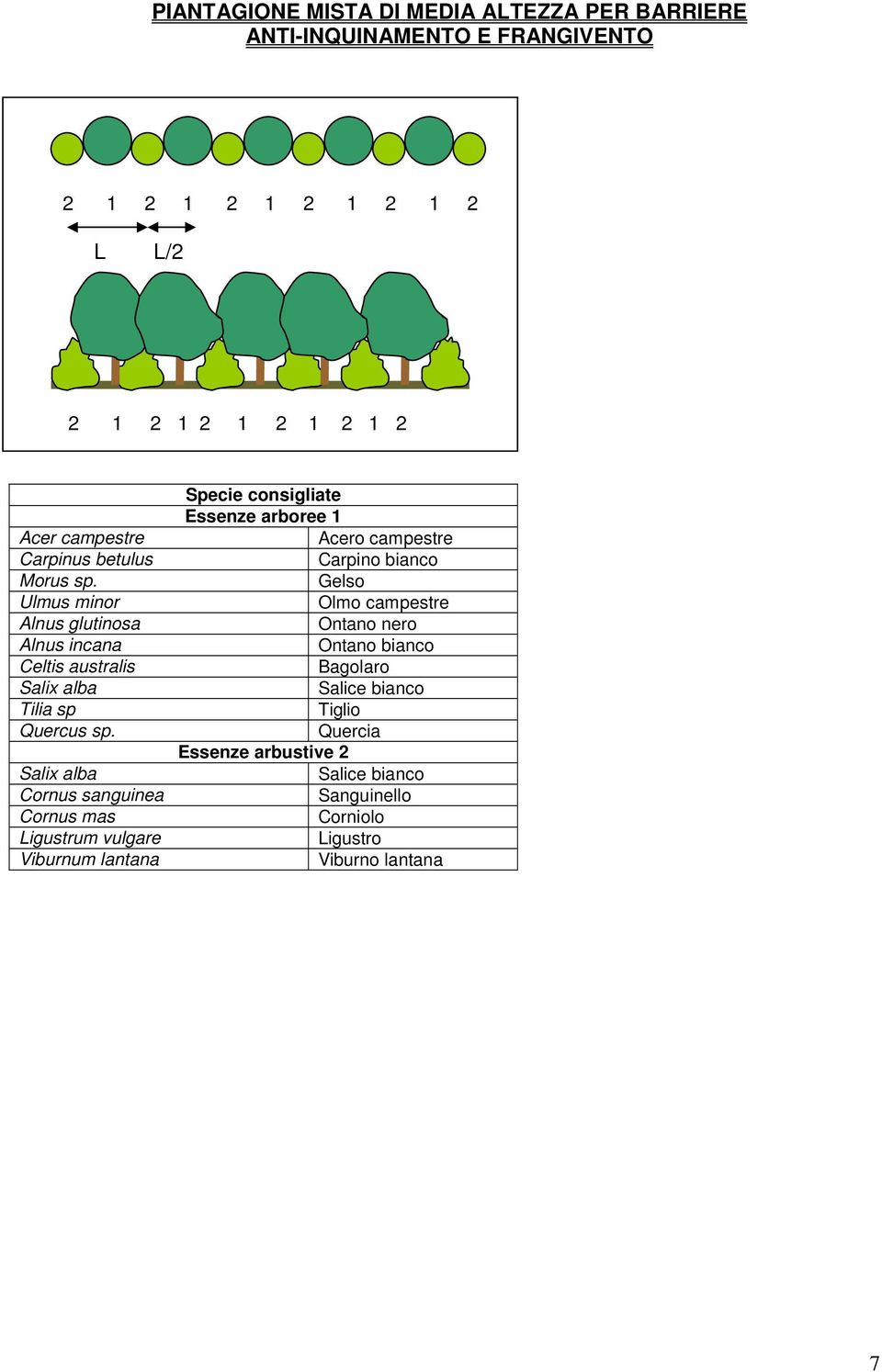Salix alba Cornus sanguinea Cornus mas Ligustrum vulgare Viburnum lantana Essenze arboree 1 Acero campestre Carpino bianco Gelso Olmo