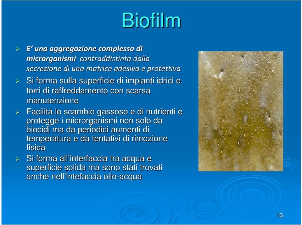 e di nutrienti e protegge i microrganismi non solo da biocidi ma da periodici aumenti di temperatura e da tentativi di