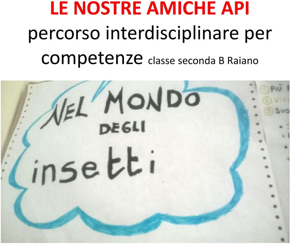 interdisciplinare per