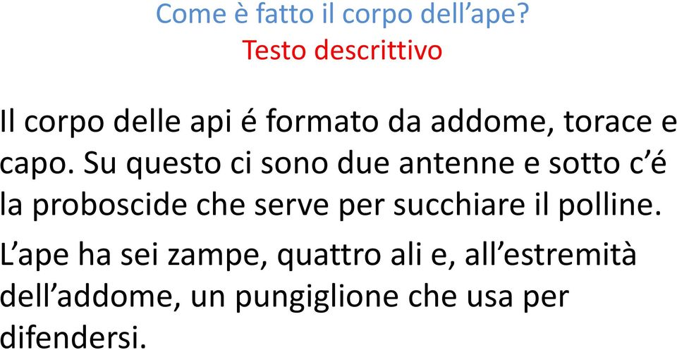 Su questo ci sono due antenne e sotto c é la proboscide che serve per