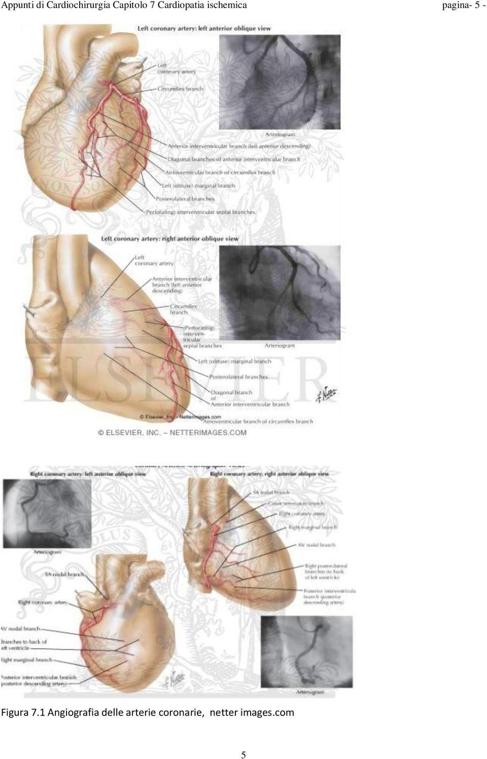 pagina- 5 - Figura 7.