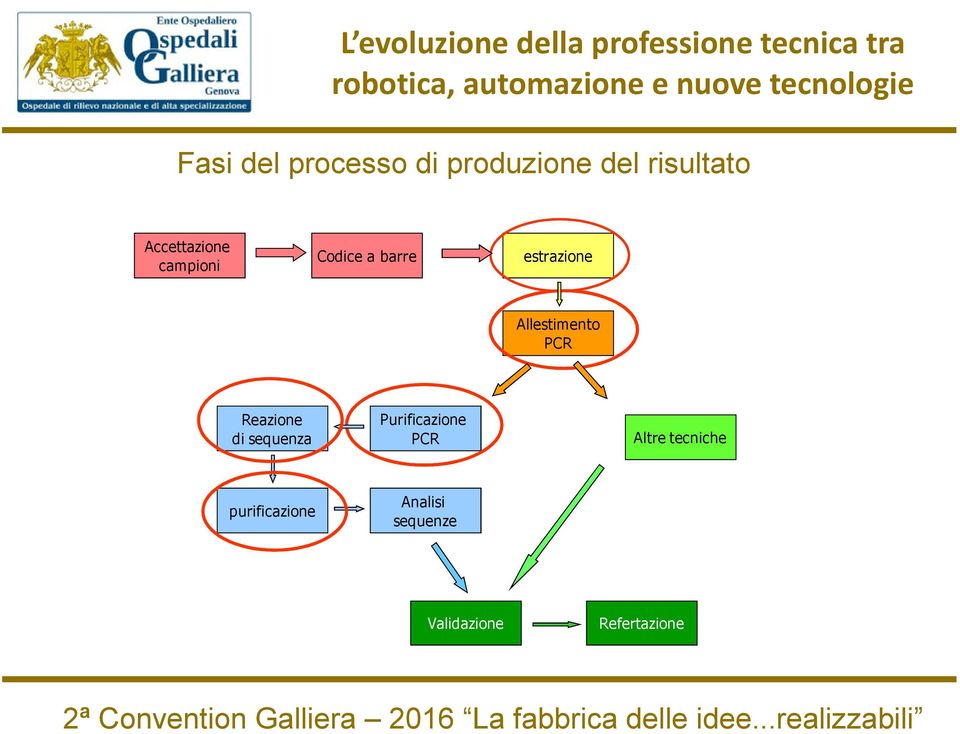 Purificazione PCR purificazione Analisi sequenze Validazione Altre