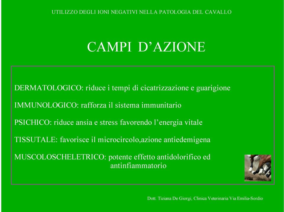 favorendo l energia vitale TISSUTALE: favorisce il microcircolo,azione