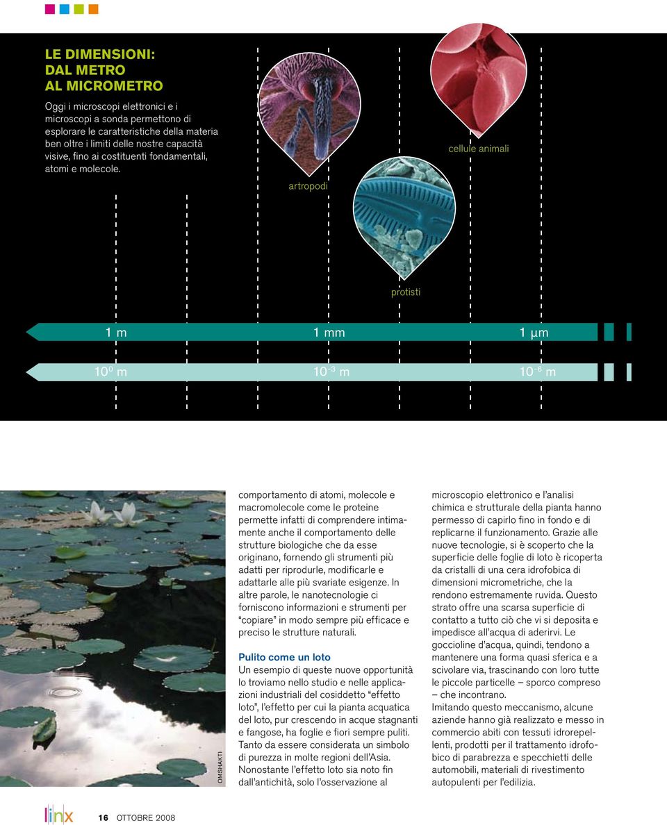 artropodi cellule animali protisti 1 m 1 mm 1 µm 10 0 m 10-3 m 10-6 m omshakti comportamento di atomi, molecole e macromolecole come le proteine permette infatti di comprendere intimamente anche il