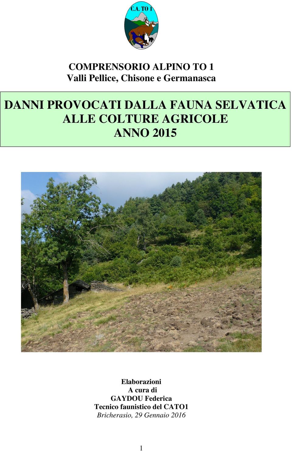 COLTURE AGRICOLE ANNO 2015 Elaborazioni A cura di GAYDOU