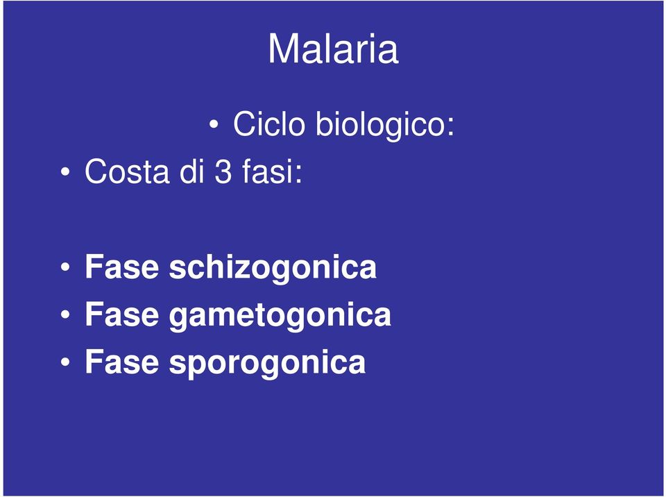 Fase schizogonica Fase