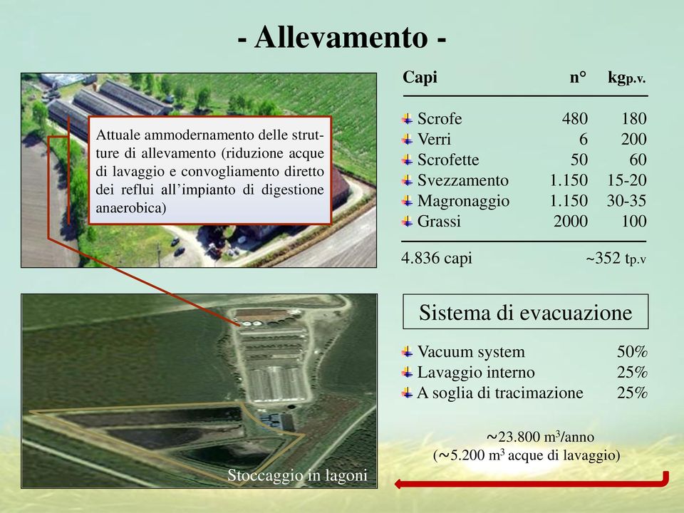 Attuale ammodernamento delle strutture di allevamento (riduzione acque di lavaggio e convogliamento diretto dei reflui