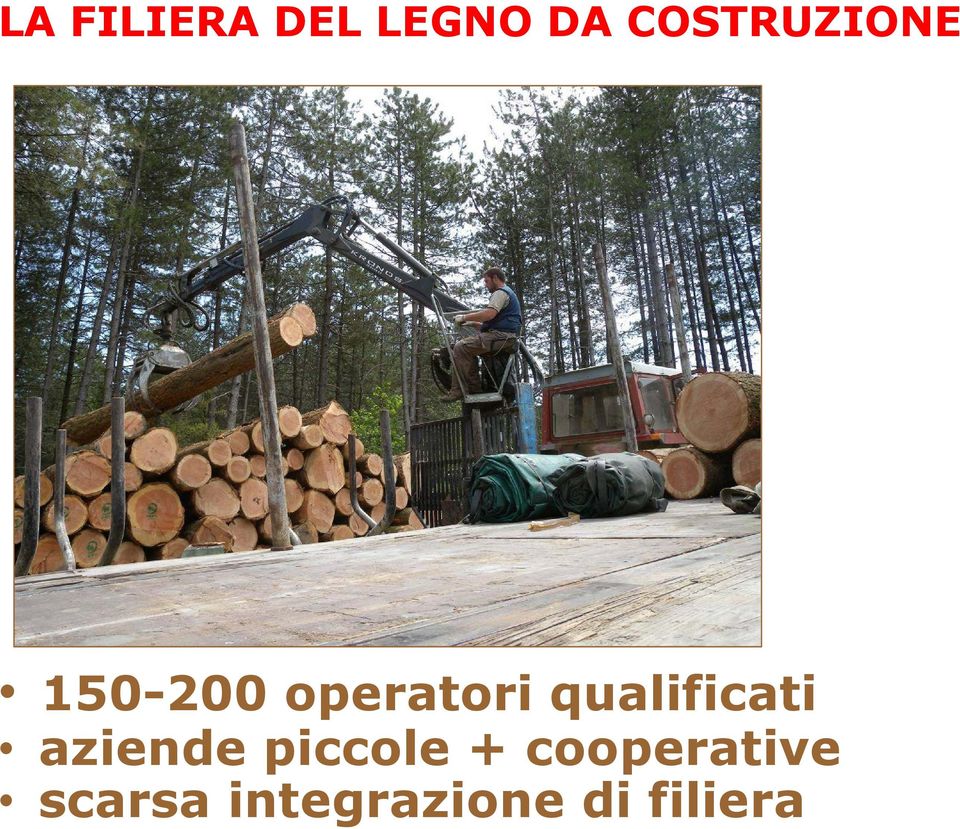 qualificati aziende piccole +