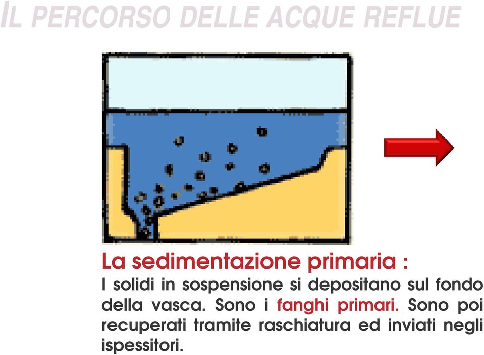 fondo della vasca. Sono i fanghi primari.