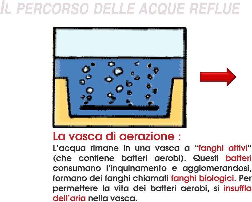 Questi batteri consumano l inquinamento e agglomerandosi, formano dei fanghi