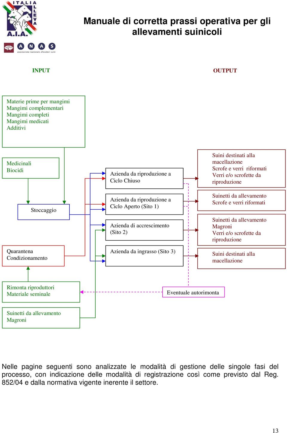 riproduzione Suinetti da allevamento Scrofe e verri riformati Suinetti da allevamento Magroni Verri e/o scrofette da riproduzione Suini destinati alla macellazione Rimonta riproduttori Materiale