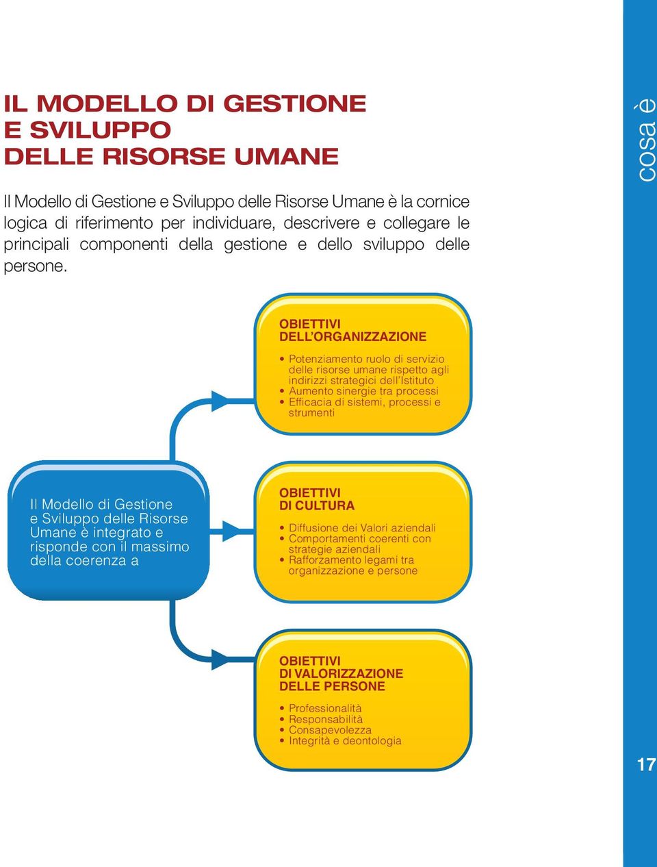 cosa è OBIETTIVI DELL ORGANIZZAZIONE Potenziamento ruolo di servizio delle risorse umane rispetto agli indirizzi strategici dell Istituto Aumento sinergie tra processi Efficacia di sistemi, processi