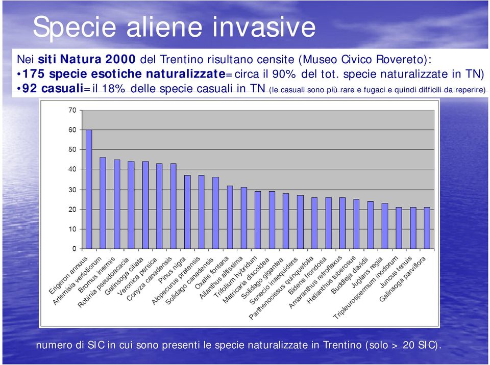 specie naturalizzate in TN) 92 casuali=ilil 18% delle specie casuali in TN (le casuali sono più