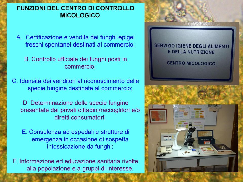 Determinazione delle specie fungine presentate dai privati cittadini/raccoglitori e/o diretti consumatori; E.