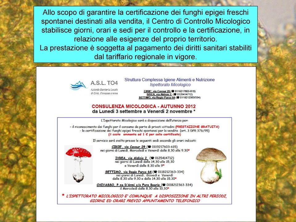 controllo e la certificazione, in relazione alle esigenze del proprio territorio.