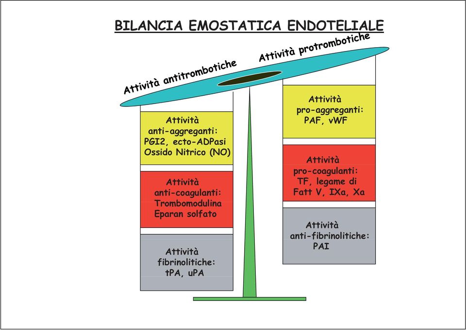 Attività fibrinolitiche: tpa, upa Attività pro-aggreganti: PAF, vwf Attività